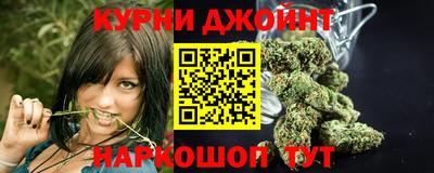стаф Тула