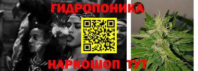 стаф Тулун