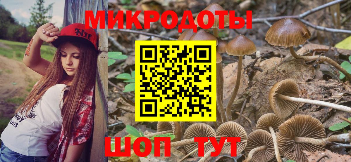 Тольятти  Галлюциногенные грибы MAGIC MUSHROOMS  Галлюциногенные грибы мухоморы  купить наркоту  Вход с VPN 